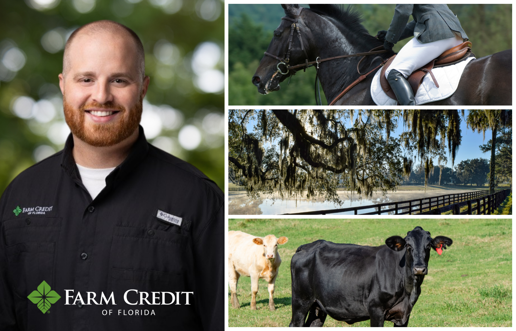 Tyler Melvin Farm Credit of Florida