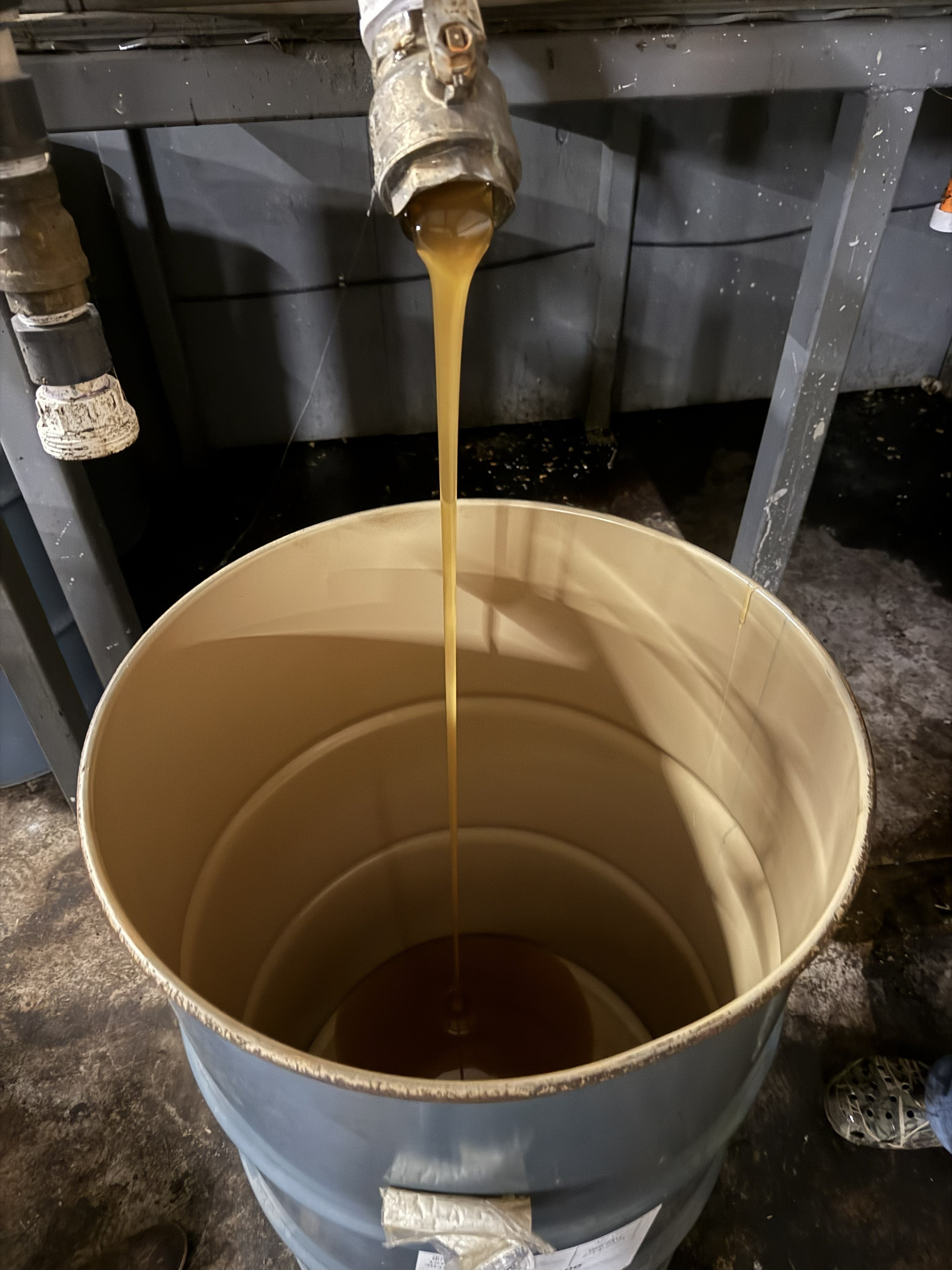 processed honey