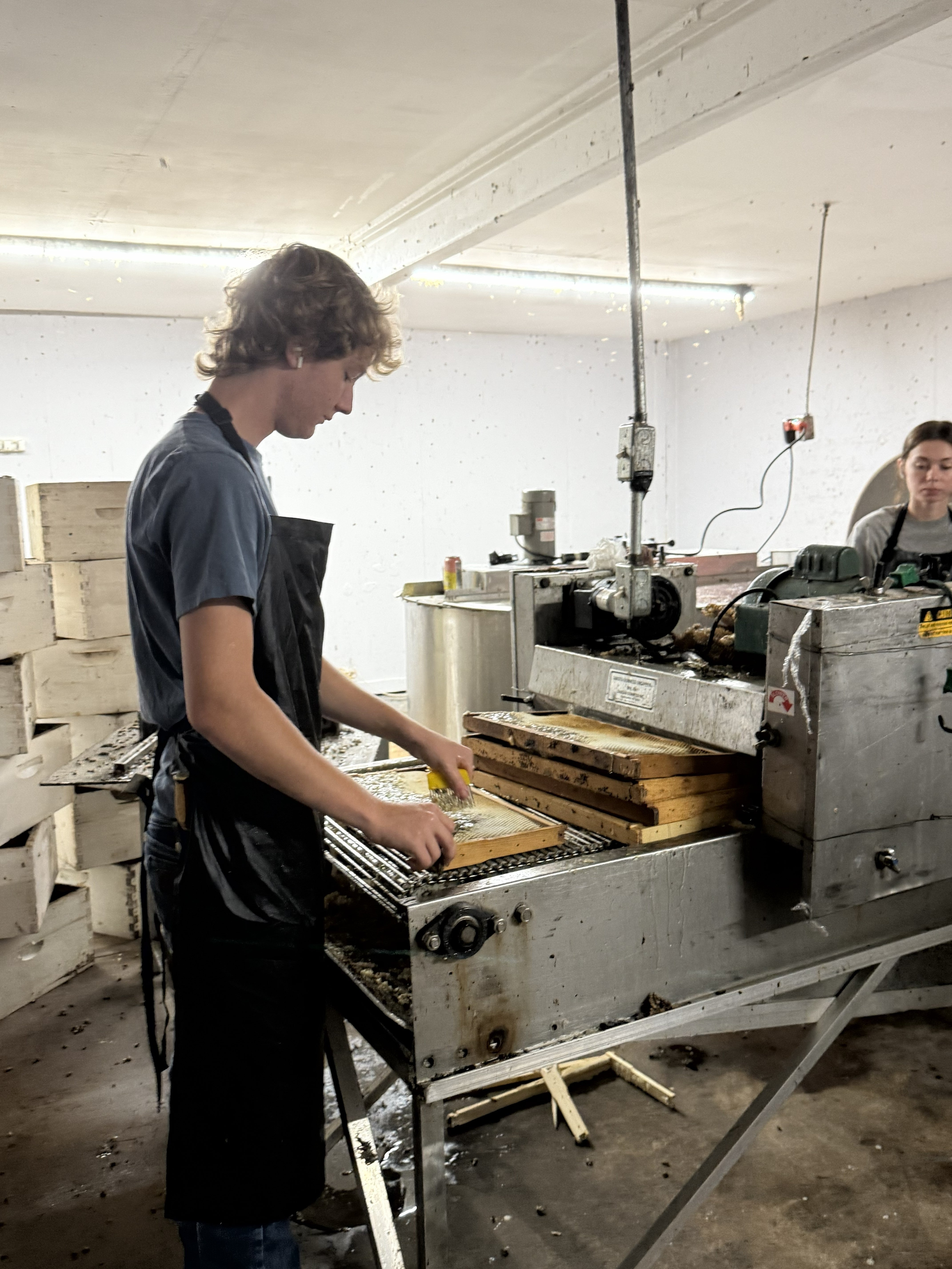 processing bee hives