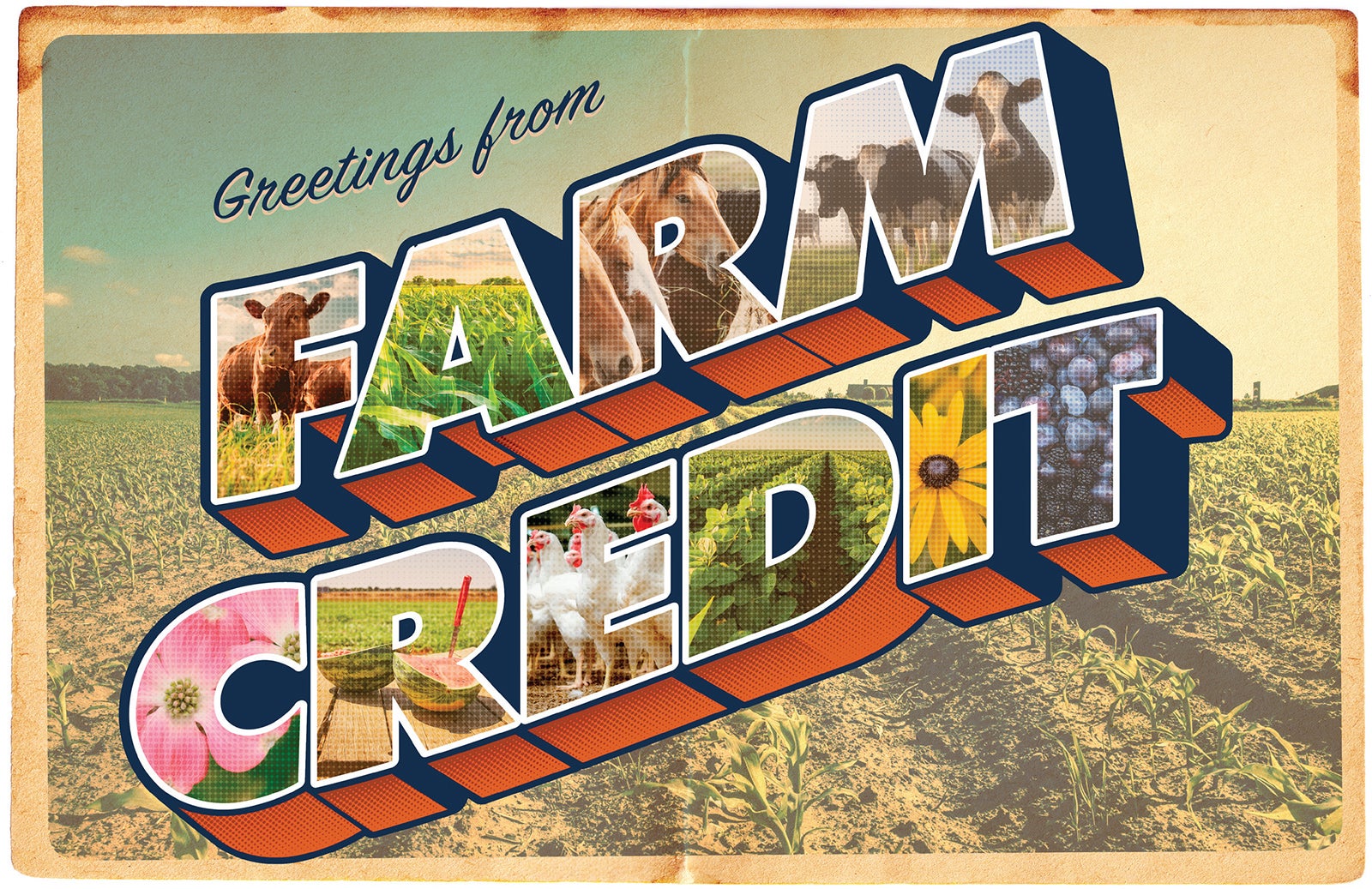 Adam Bricker Postcard