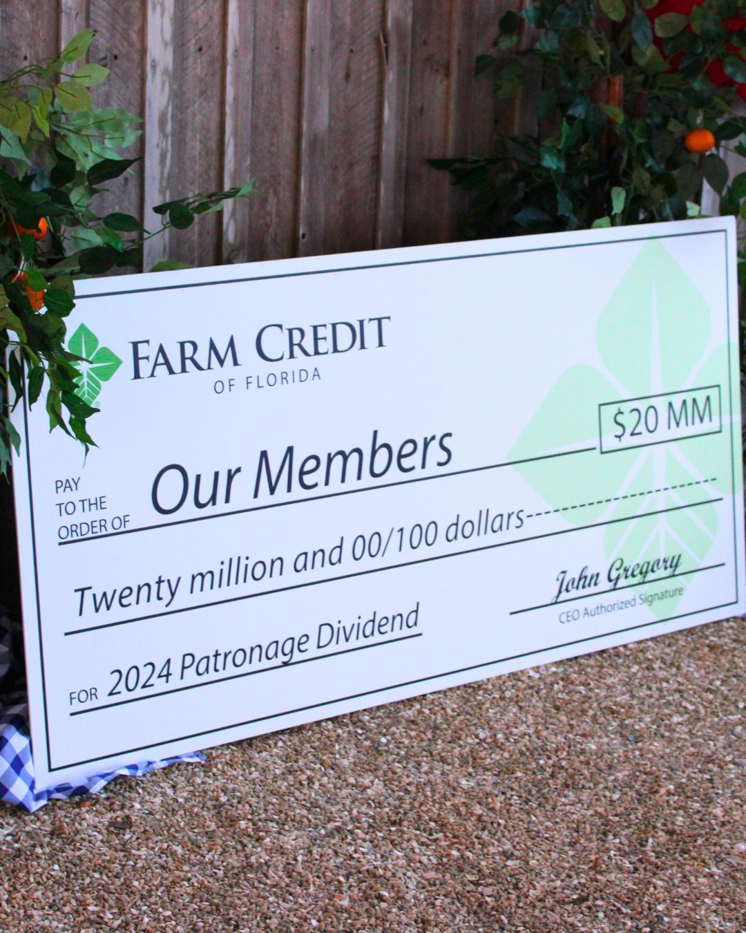 A large ceremonial check from Farm Credit of Florida displayed against a wooden fence with green foliage. The check is made out to 'Our Members' for $20 million, designated for the 2024 Patronage Dividend, and signed by John Gregory, CEO.